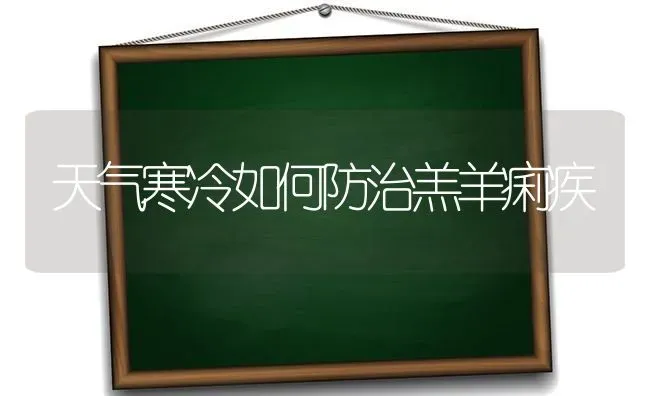 天气寒冷如何防治羔羊痢疾 | 家畜养殖