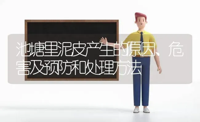 池塘里泥皮产生的原因、危害及预防和处理方法 | 动物养殖百科