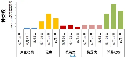 通威“渔光一体”电池板遮光对水体影响大揭秘