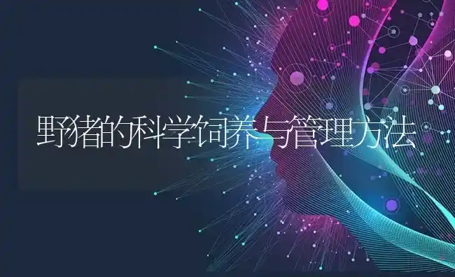 野猪的科学饲养与管理方法 | 家畜养殖