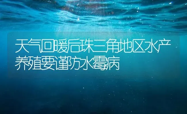 天气回暖后珠三角地区水产养殖要谨防水霉病 | 养殖病虫害防治