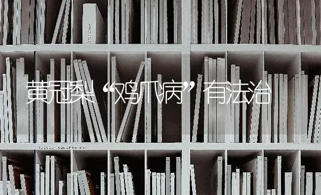 黄冠梨“鸡爪病”有法治 | 家禽养殖