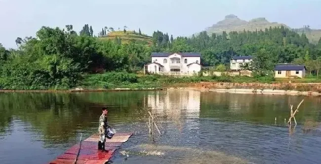 恰当的渔药施用方法不能忽略或者掉以轻心，否则药钱花了鱼病也没治好！
