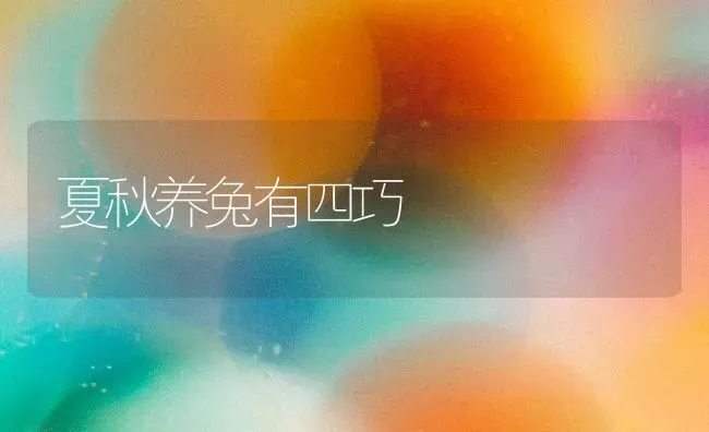 夏秋养兔有四巧 | 家畜养殖