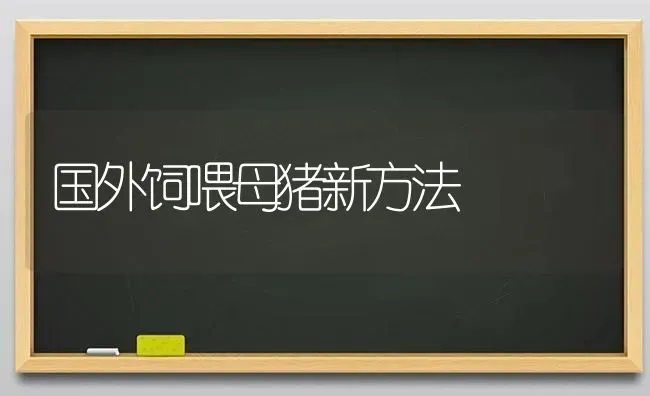 国外饲喂母猪新方法 | 家畜养殖