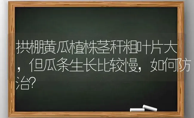 冬季养鱼如何肥水 | 淡水养殖