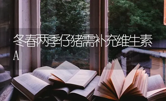 冬春两季仔猪需补充维生素A | 家畜养殖