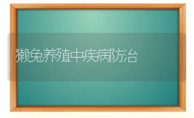 獭兔养殖中疾病防治 | 家畜养殖