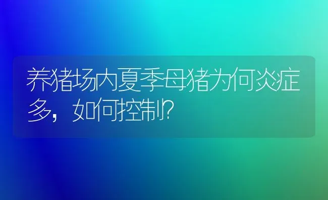 养猪场内夏季母猪为何炎症多，如何控制？ | 家畜养殖