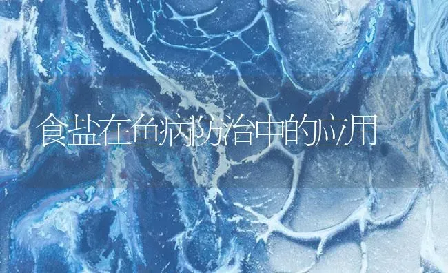 食盐在鱼病防治中的应用 | 养殖病虫害防治