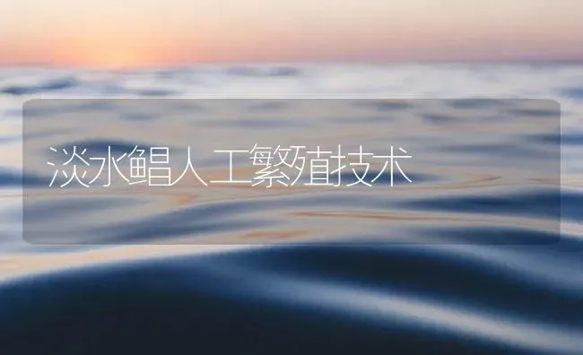 淡水鲳人工繁殖技术 | 海水养殖