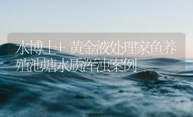 水博士+黄金液处理家鱼养殖池塘水质浑浊案例 | 动物养殖百科