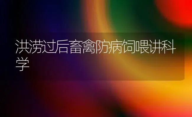 洪涝过后畜禽防病饲喂讲科学 | 家禽养殖