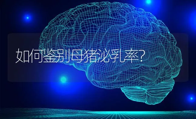 如何鉴别母猪泌乳率？ | 家畜养殖