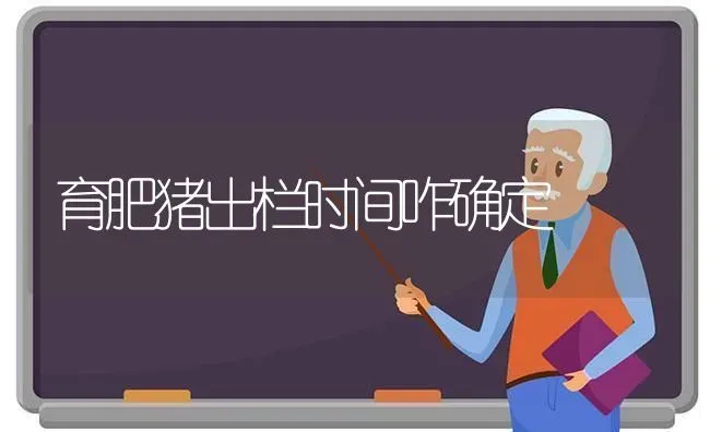 育肥猪出栏时间咋确定 | 家畜养殖