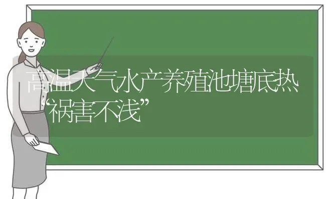 高温天气水产养殖池塘底热“祸害不浅” | 动物养殖百科