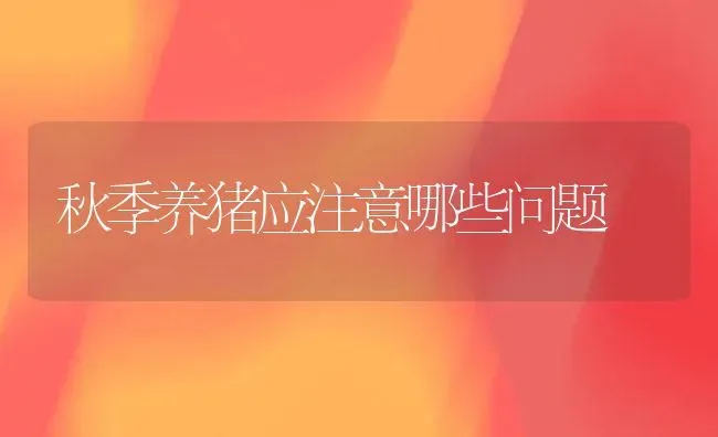 秋季养猪应注意哪些问题 | 家畜养殖