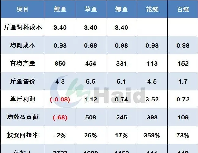 高工大讲堂 | 华北鲤鱼养殖，这个时间点出鱼盈利最大！