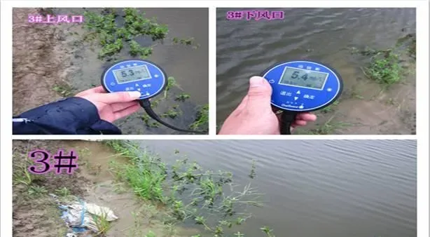 阴雨天南美白对虾塘藻草溶氧差一例