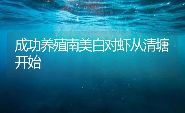 成功养殖南美白对虾从清塘开始 | 海水养殖