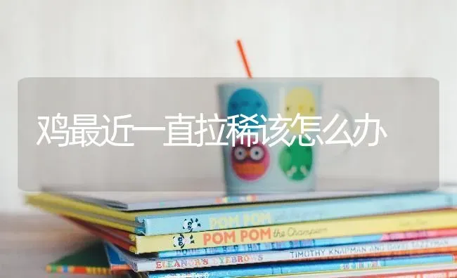 鸡最近一直拉稀该怎么办 | 家禽养殖