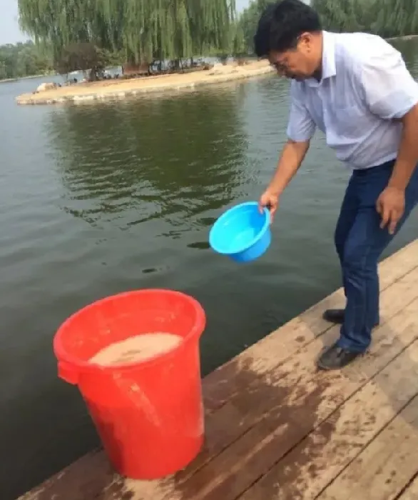 恰当的渔药施用方法不能忽略或者掉以轻心，否则药钱花了鱼病也没治好！