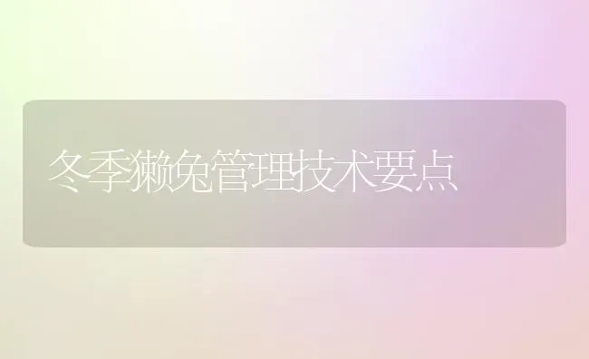 冬季獭兔管理技术要点 | 家畜养殖