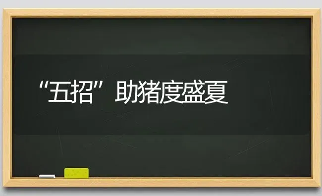 “五招”助猪度盛夏 | 家畜养殖