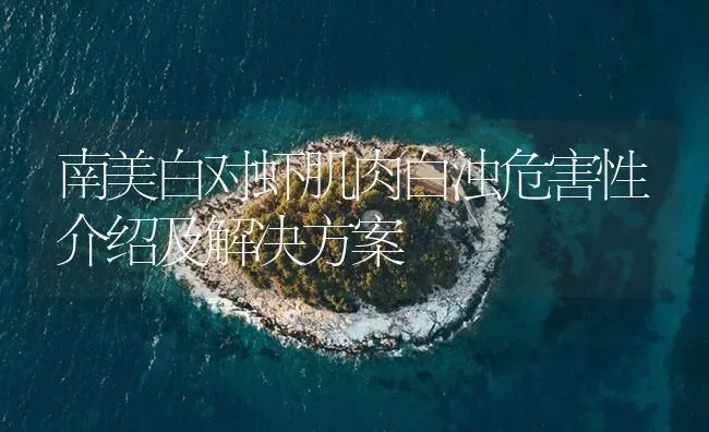 南美白对虾肌肉白浊危害性介绍及解决方案 | 海水养殖