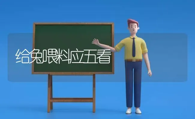 给兔喂料应五看 | 家畜养殖