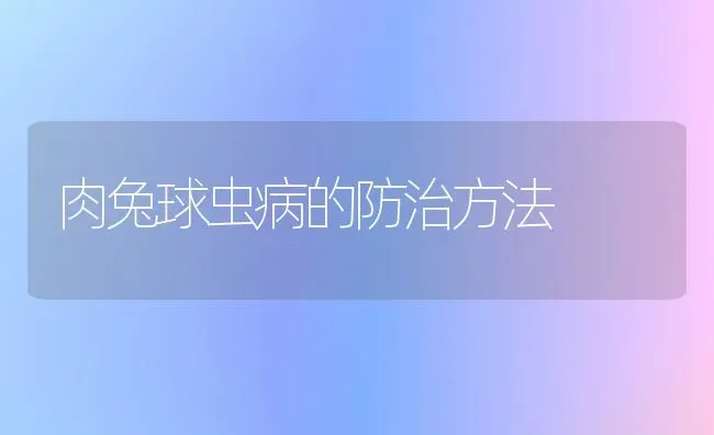 肉兔球虫病的防治方法 | 家畜养殖