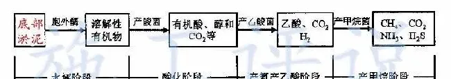夏季高温季节池塘下风口为什么会看到一些小泡泡，有什么危害？