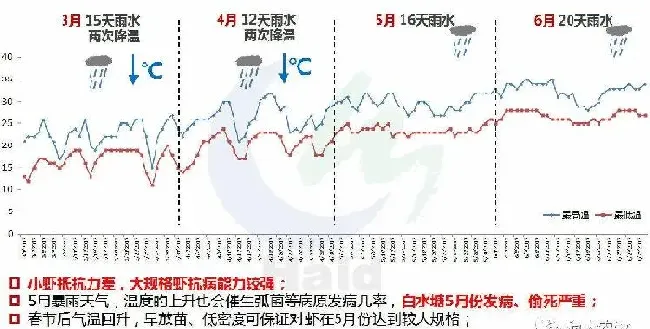 2018年第一造南美白对虾应该怎么养？