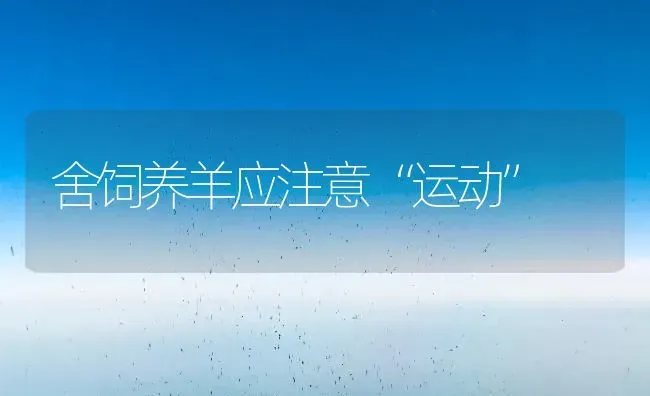 舍饲养羊应注意“运动” | 家畜养殖