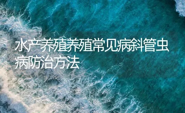 水产养殖养殖常见病斜管虫病防治方法 | 养殖病虫害防治