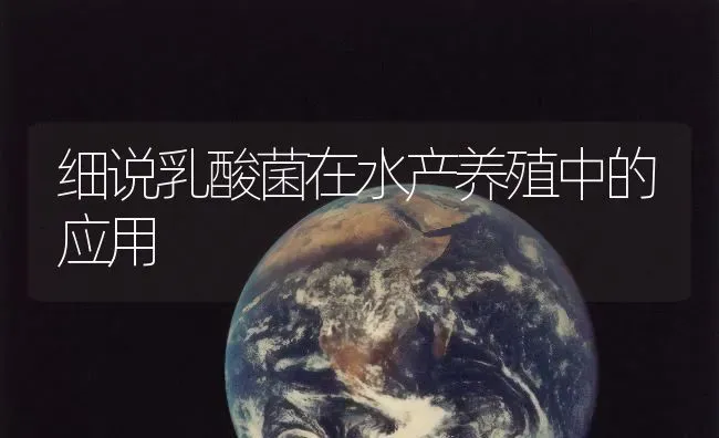 细说乳酸菌在水产养殖中的应用 | 动物养殖百科