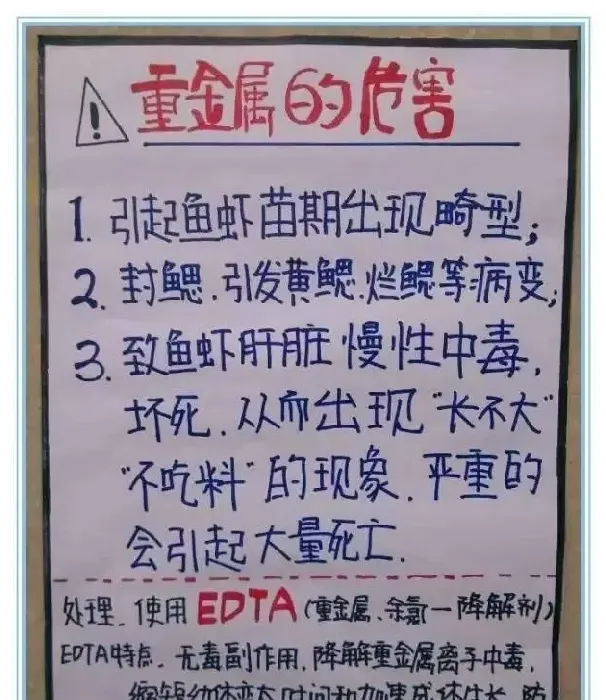南美白对虾塘重金属超标和蓝藻的处理案例分享