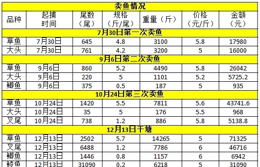 行情低迷 多个淡水鱼品种大混养模式可降低养殖风险