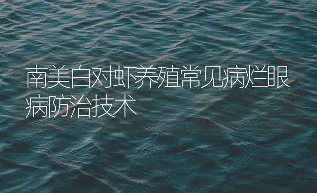 南美白对虾养殖常见病烂眼病防治技术 | 海水养殖