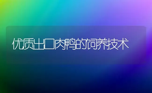 优质出口肉鸭的饲养技术 | 家禽养殖