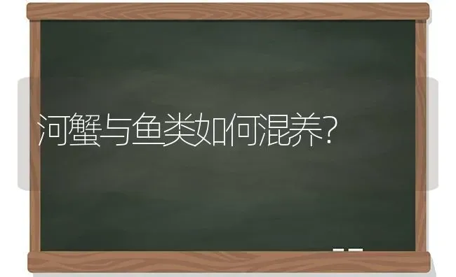 河蟹与鱼类如何混养？ | 淡水养殖