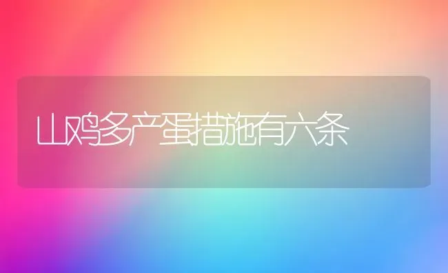 山鸡多产蛋措施有六条 | 家禽养殖