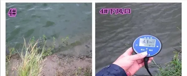 阴雨天南美白对虾塘藻草溶氧差一例