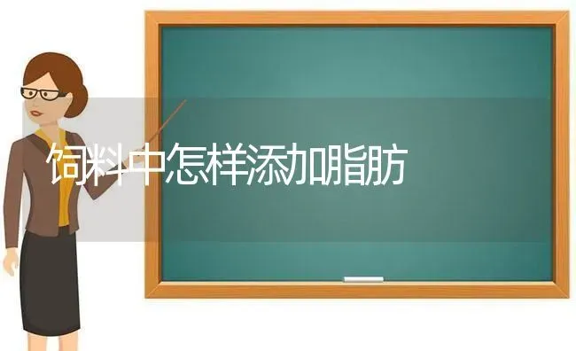 饲料中怎样添加脂肪 | 动物养殖饲料