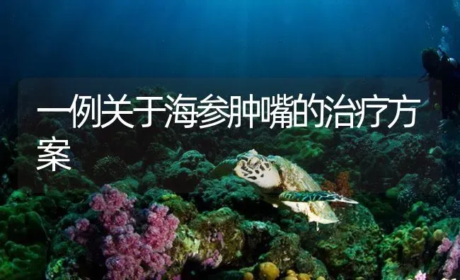 一例关于海参肿嘴的治疗方案 | 海水养殖