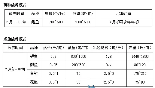 宁夏鲤鱼养殖亩产量低？那是因为没有这样养！