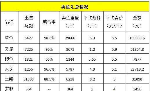 行情低迷 多个淡水鱼品种大混养模式可降低养殖风险