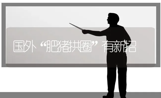 国外“肥猪拱圈”有新招 | 家畜养殖