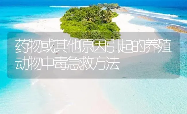 隐鞭虫病防治参考处方 | 养殖病虫害防治