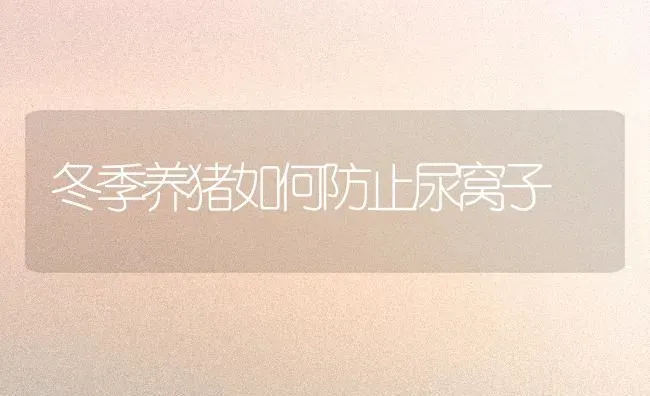 冬季养猪如何防止尿窝子 | 家畜养殖
